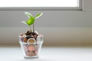 Turning One Income Into Financial Freedom: The 60/20/20 Rule