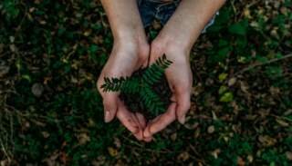 Sustainable Decorating: Thrifted, Upcycled, Beautiful